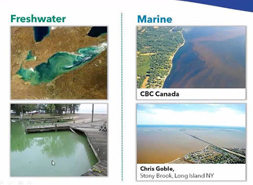 HAB-Webinar-Part1-Freshwater-Marine-Slide.jpg